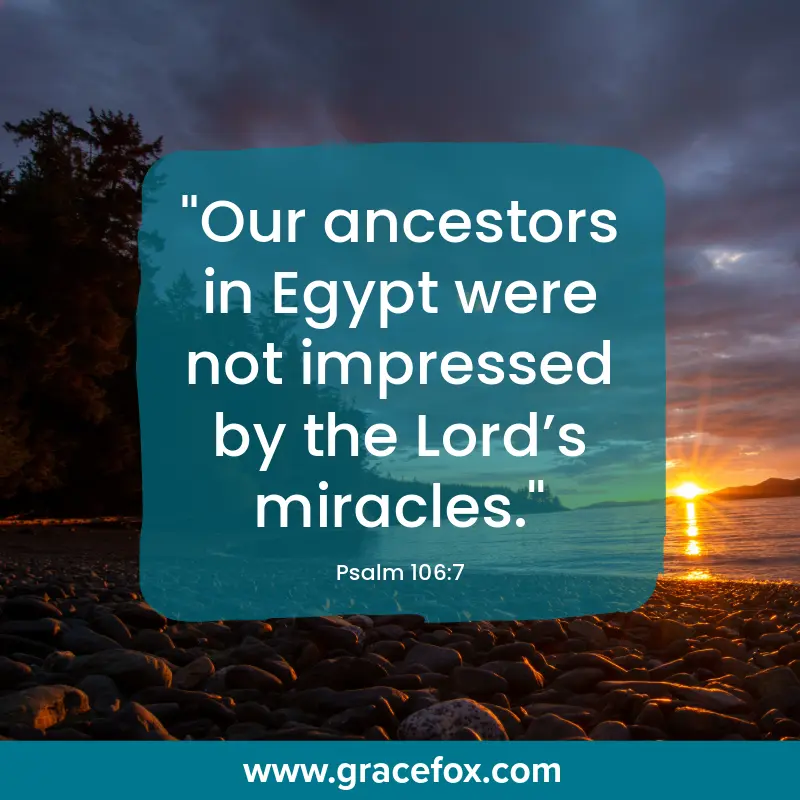 Lest We Forget the Greatness of God - Grace Fox