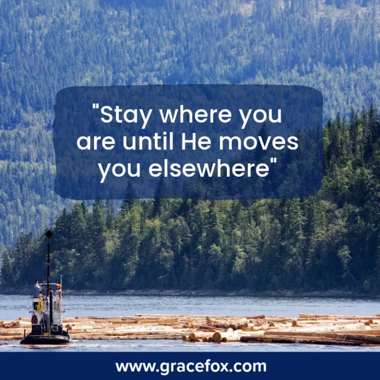 Stay Focused and Keep Doing Your Great Work - Grace Fox