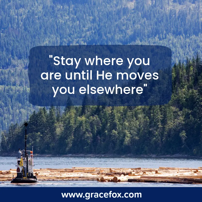 Stay Focused and Keep Doing Your Great Work - Grace Fox