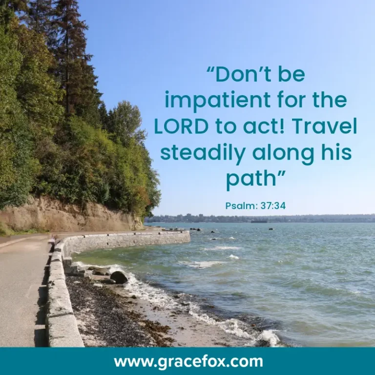 Learning to Be a Patient Traveler - Grace Fox