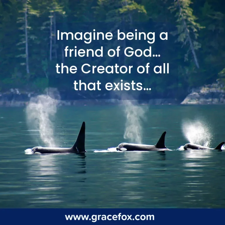 Imagine - God Invites Us to Be His Friend - Grace Fox