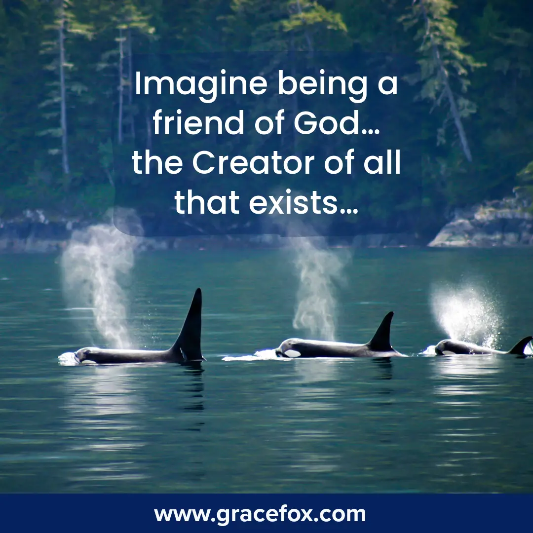Imagine - God Invites Us to Be His Friend - Grace Fox