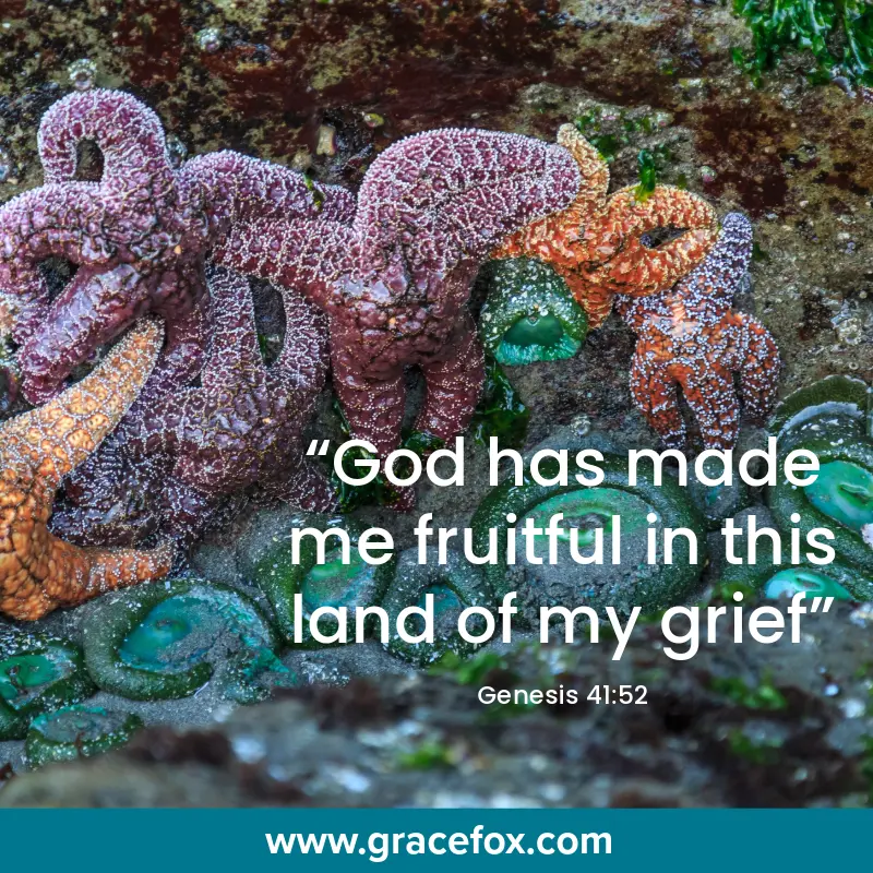Choosing to Demonstrate Heroic Qualities - Grace Fox
