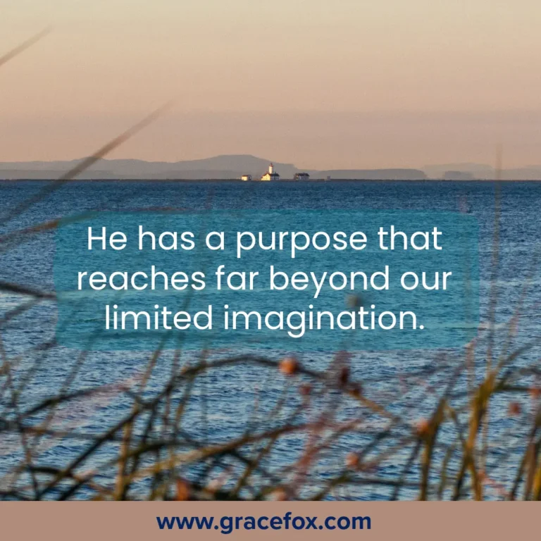 Learning to See Life as God Sees It - Grace Fox