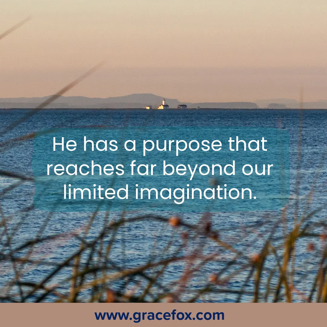 Learning to See Life as God Sees It - Grace Fox