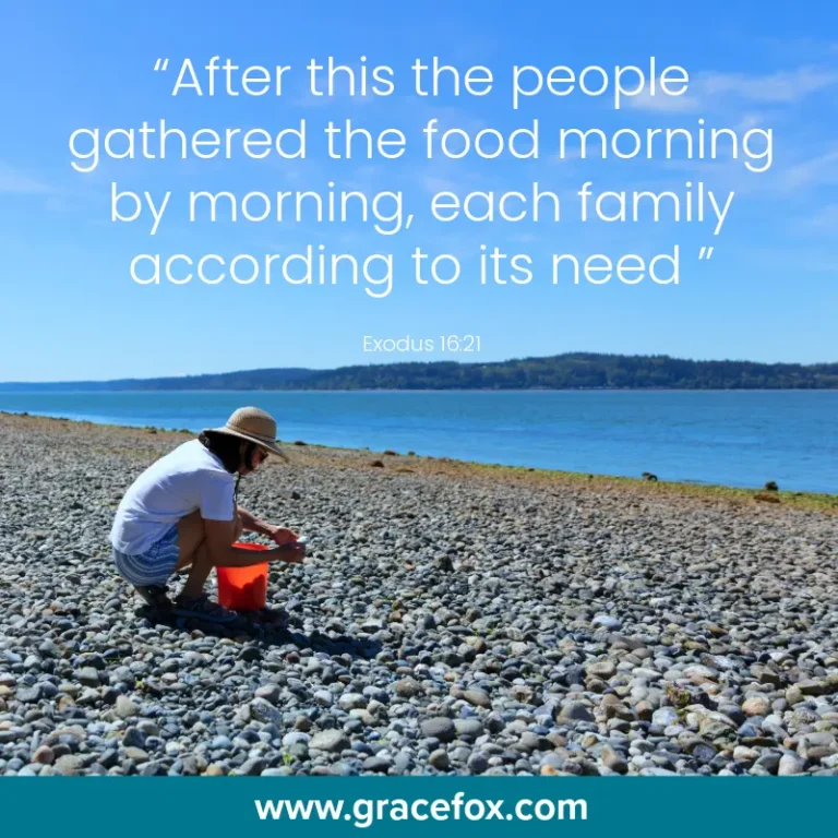 God Teaches Us and Then Comes the Test - Grace Fox