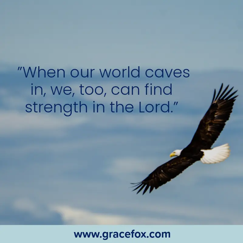 What to do When Your World Falls Apart - Grace Fox