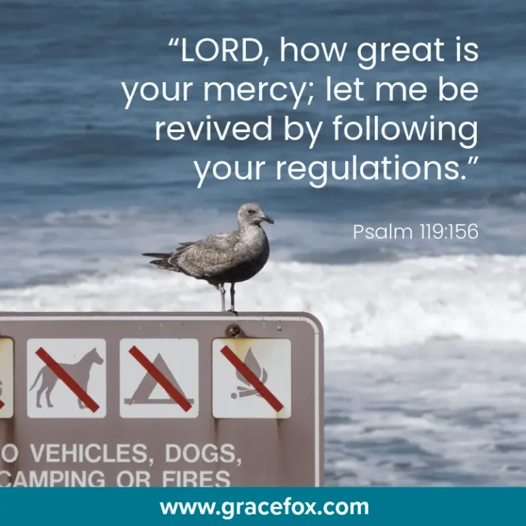 Rules, Rules, Rules - Good for a Reason - Grace Fox