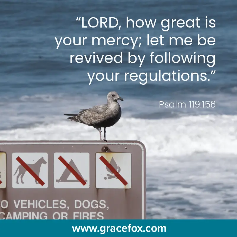 Rules, Rules, Rules - Good for a Reason - Grace Fox