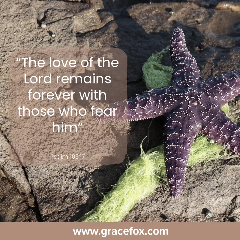 Facing and Overcoming the Fear of Rejection - Grace Fox