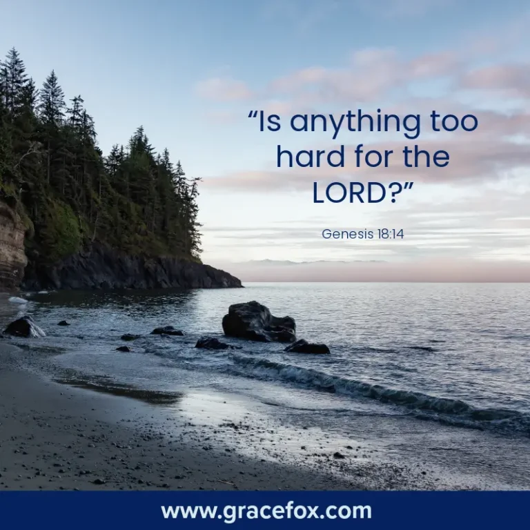 When God's Ways Boggle Human Logic - Grace Fox