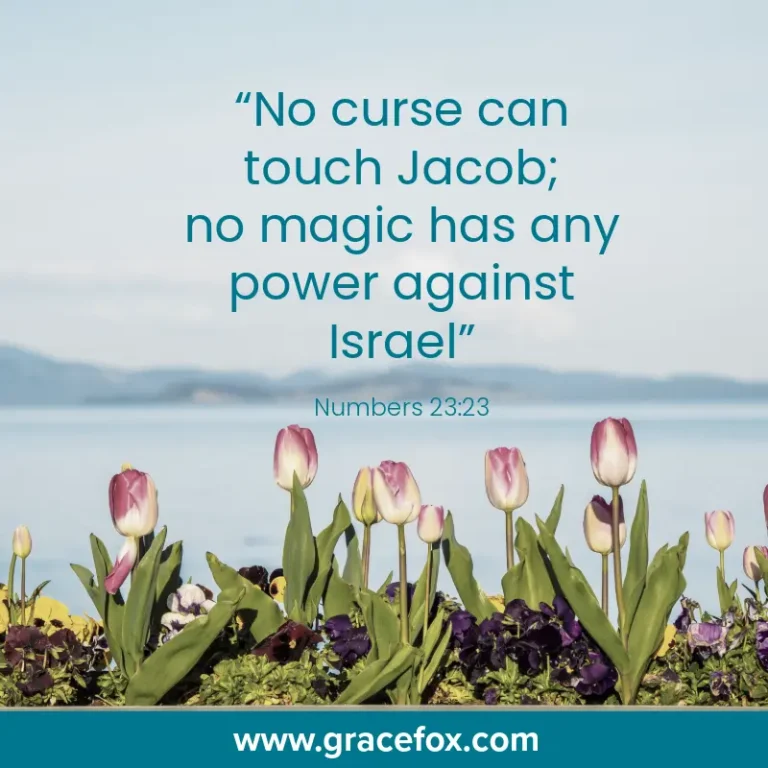 Mustering Courage in the Face of Fear - Grace Fox