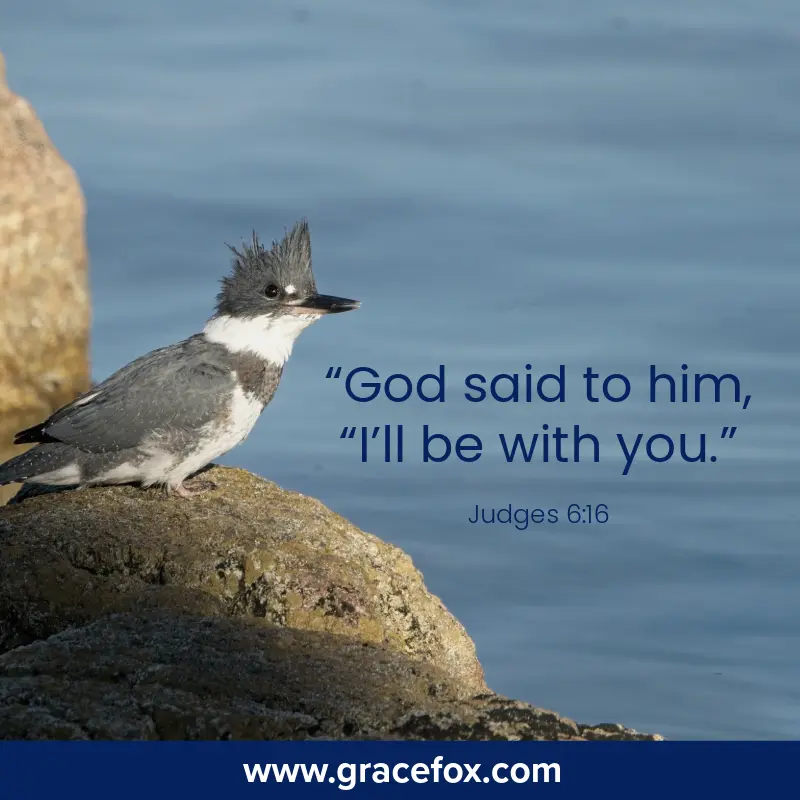 Saying Yes to God Without Making Excuses - Grace Fox