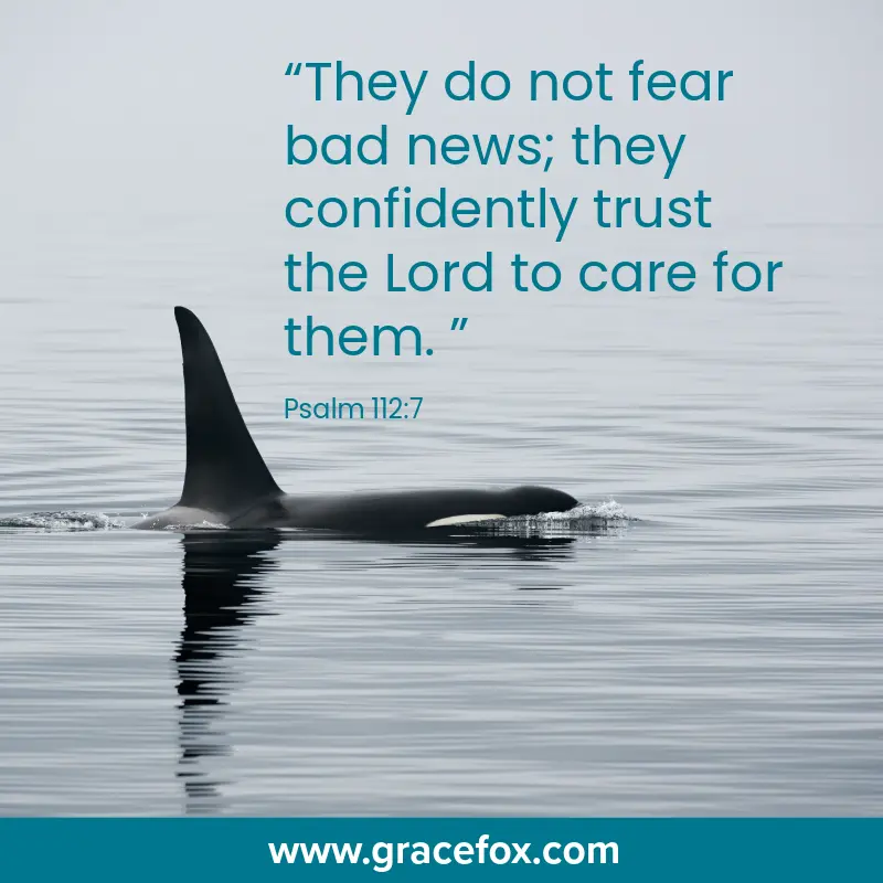 Moving Beyond Fear to Confident Trust - Grace Fox