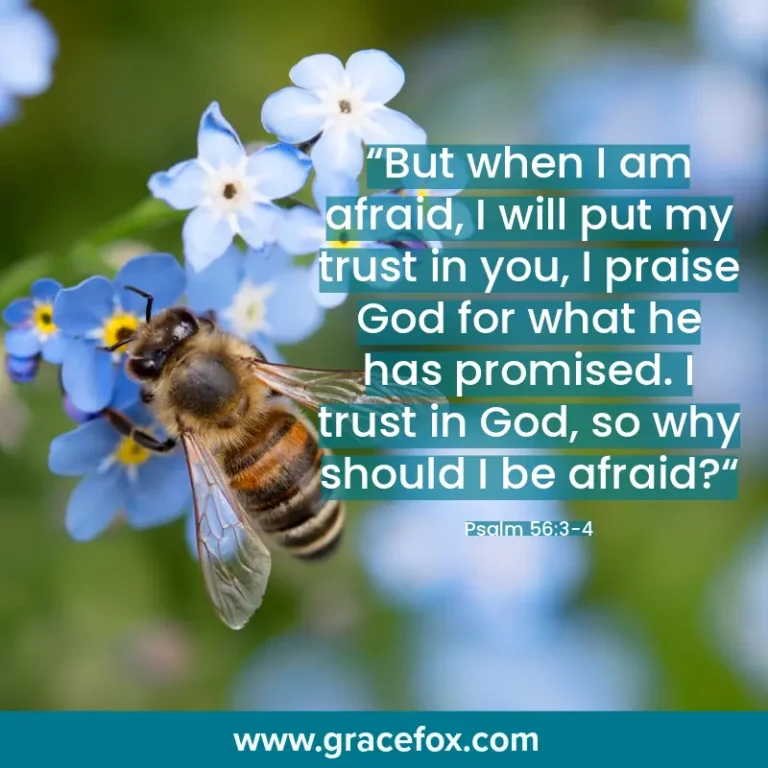 A Wasp Sting, a 911 Call, and Anxious Moments - Grace Fox
