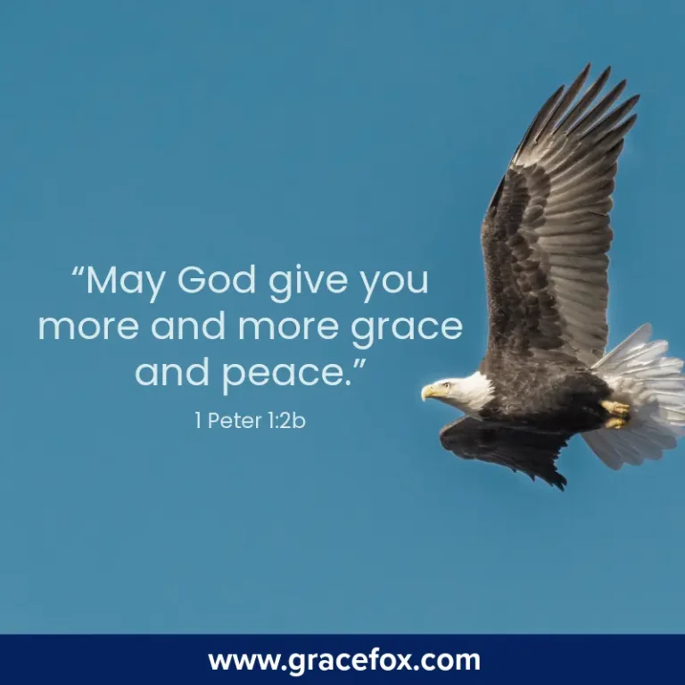 An Encouragement When Feeling Down (Guest Post) - Grace Fox