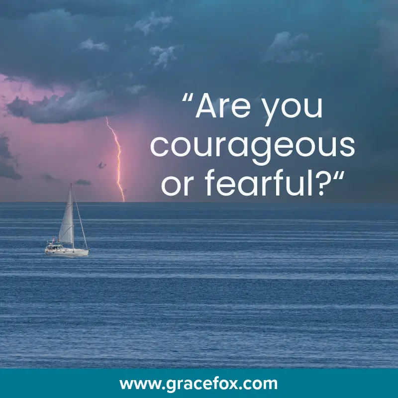 Different People and Different Perspectives - Grace Fox