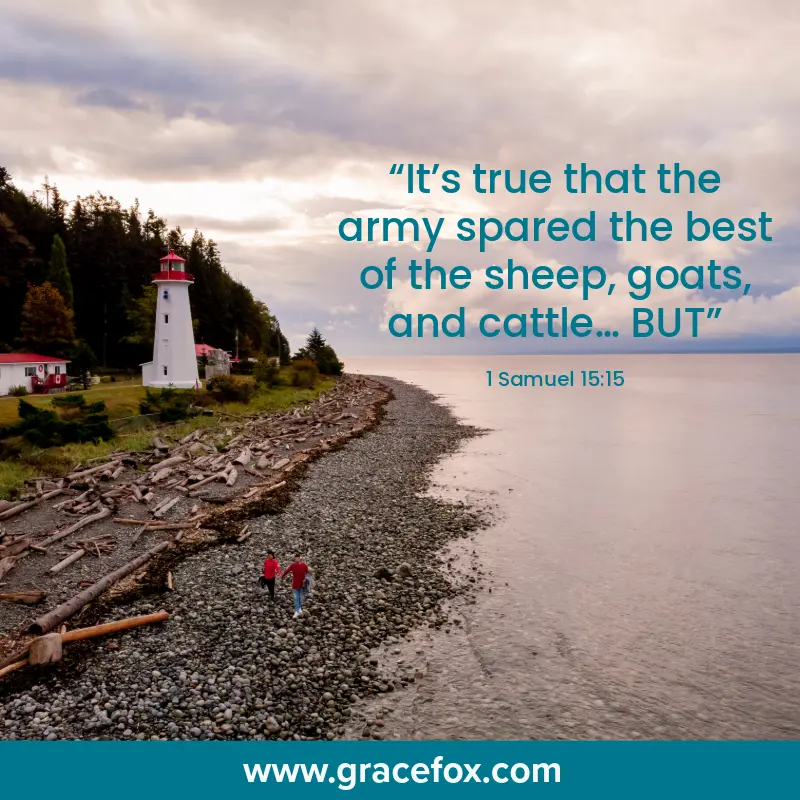 The Human Heart is a Bit Skewed Sometimes - Grace Fox