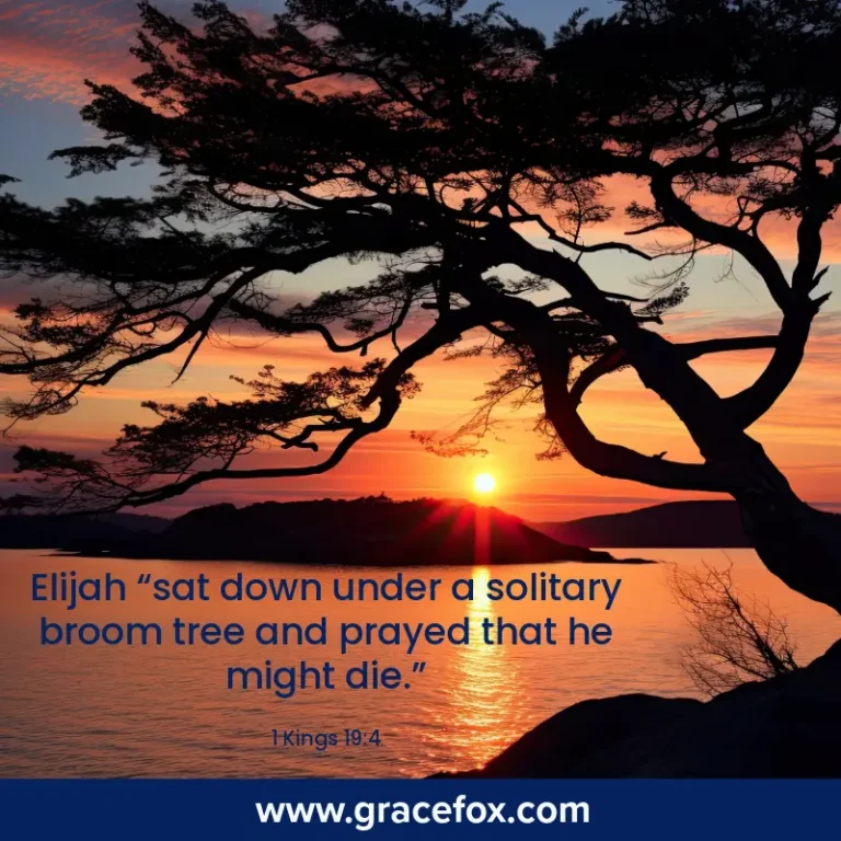 What Not To Do When Feeling Discouraged - Grace Fox
