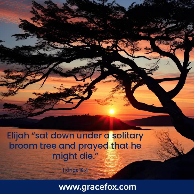 What Not To Do When Feeling Discouraged - Grace Fox