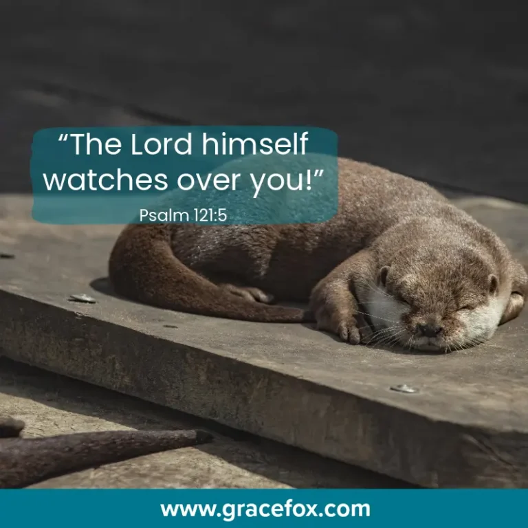 The Secret to a Restful Sleep - Grace Fox