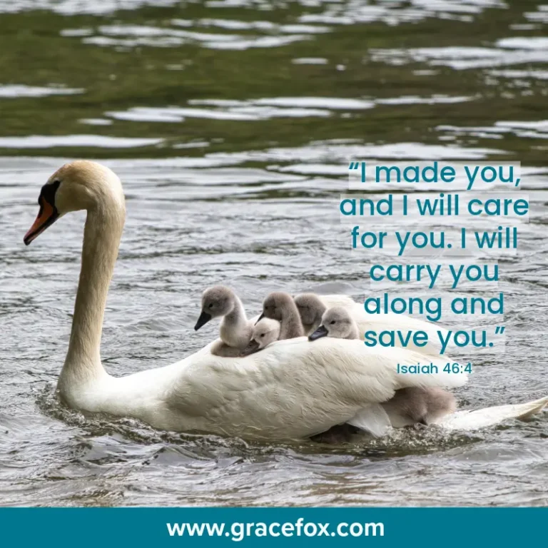 All is Well When God Carries Us - Grace Fox