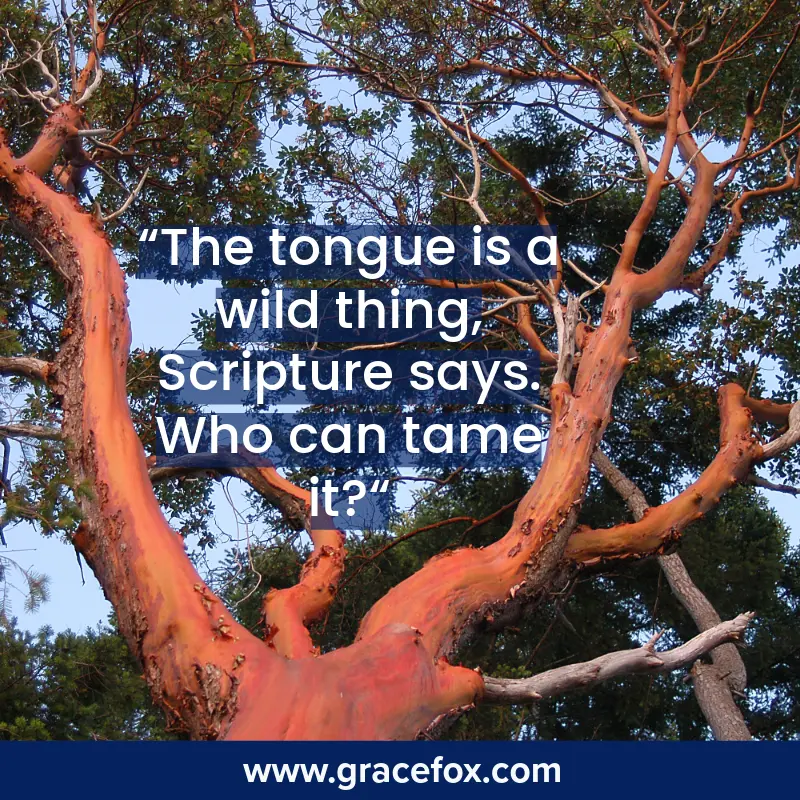 Three Tips for Taming the Tongue - Grace Fox