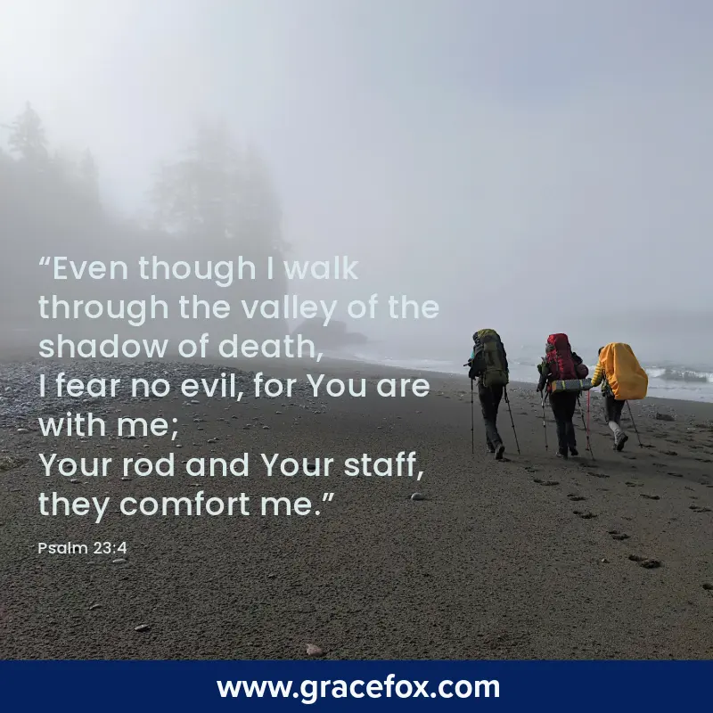 How to Deal With the Shadows We Fear - Grace Fox