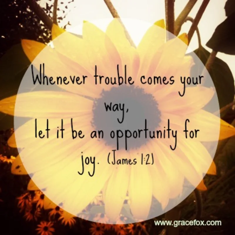 Discovering Joy in Life's Tests - Grace Fox