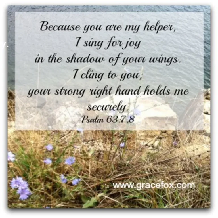 A Promise for Those in Painful Circumstances - Grace Fox