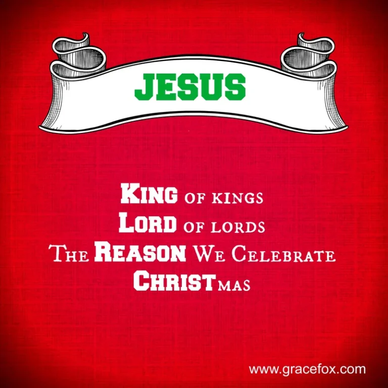 Celebrating Christmas in a World Gone Mad - Grace Fox