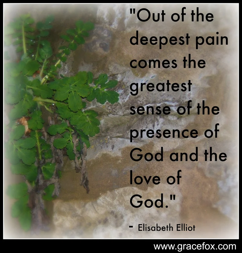 Seeing Suffering as Through God's Eyes - Grace Fox