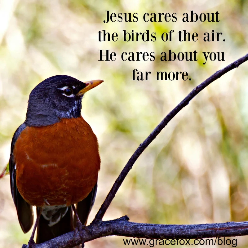 Jesus Cares About Details and Dimes - Grace Fox