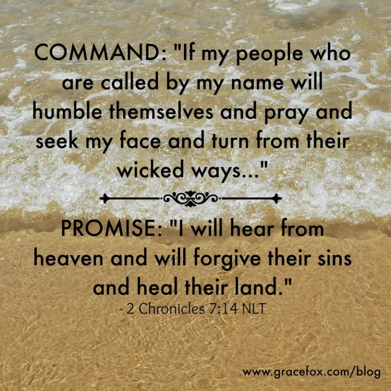 A Desperate Prayer for a World Gone Mad - Grace Fox