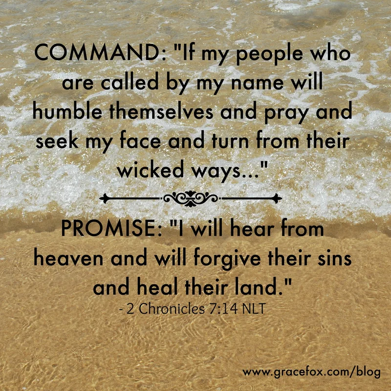 A Desperate Prayer for a World Gone Mad - Grace Fox