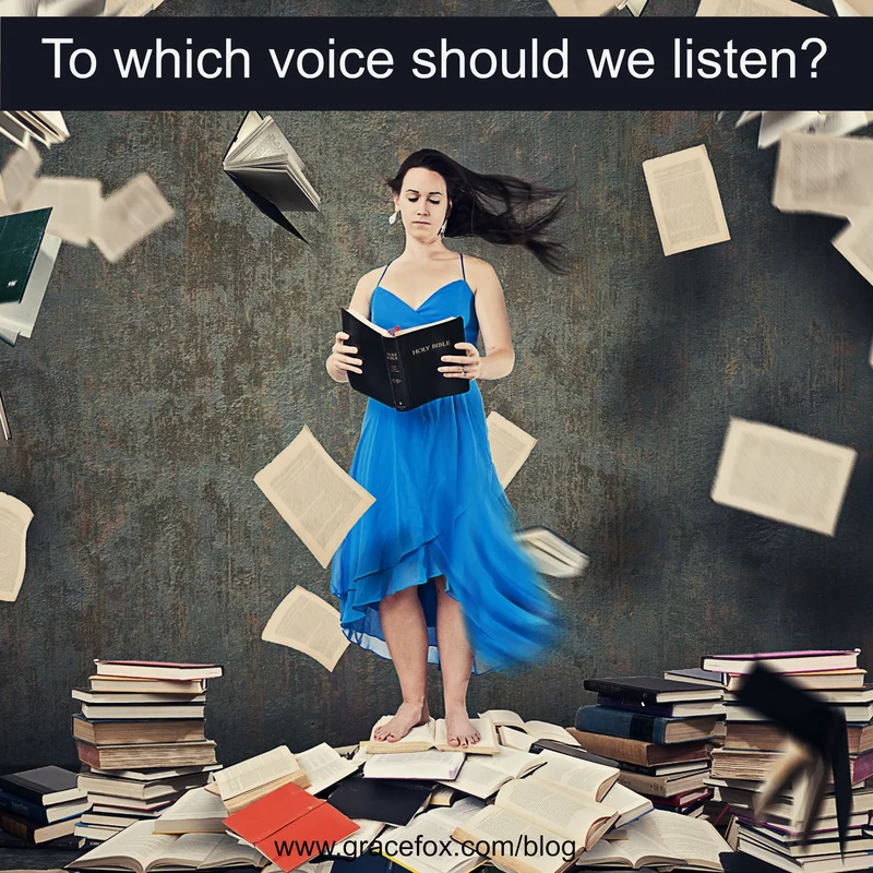 To Which Voice Should We Listen? - Grace Fox