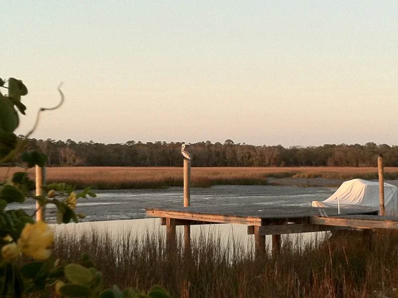 Edisto Island, South Carolina