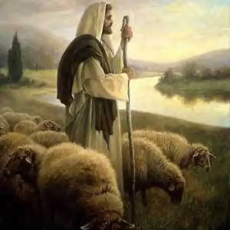 My Sheep Follow Me – What Does This Mean? - Grace Fox