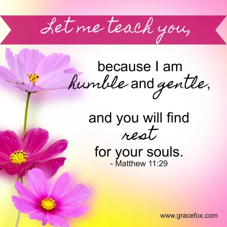 Let Jesus Teach You - Grace Fox
