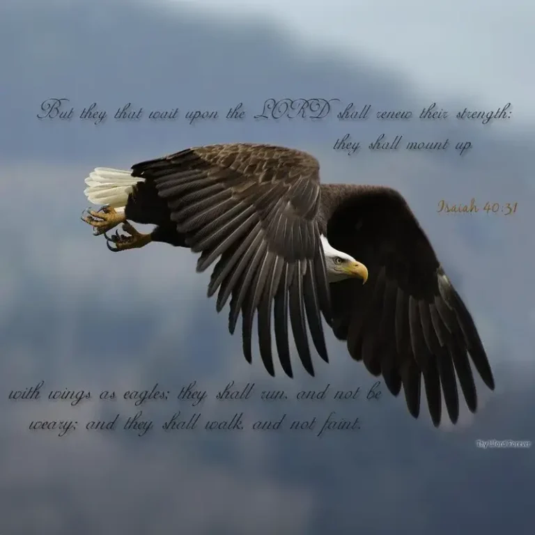 When We Feel Like a Little Bird With a Broken Wing - Grace Fox