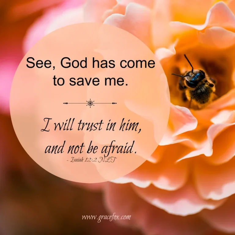 God is Out to Get You - Grace Fox