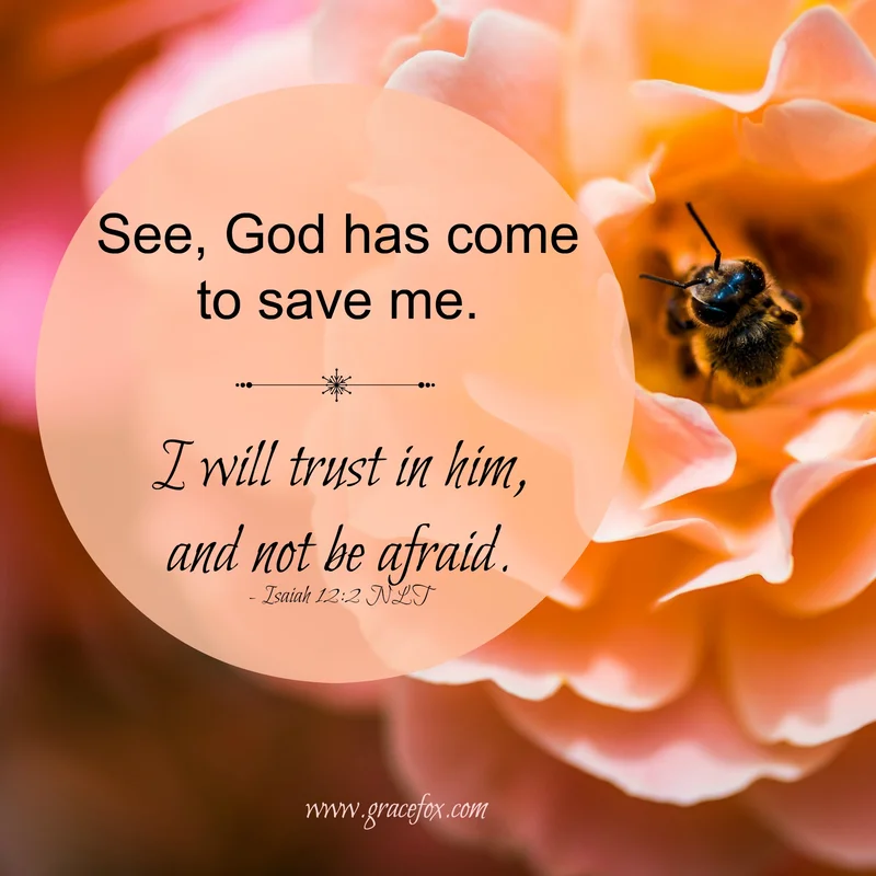 God is Out to Get You - Grace Fox
