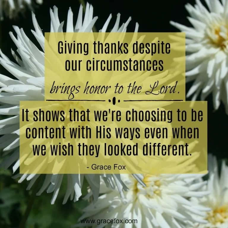Canceled Flights, Bedbugs, and Giving Thanks - Grace Fox