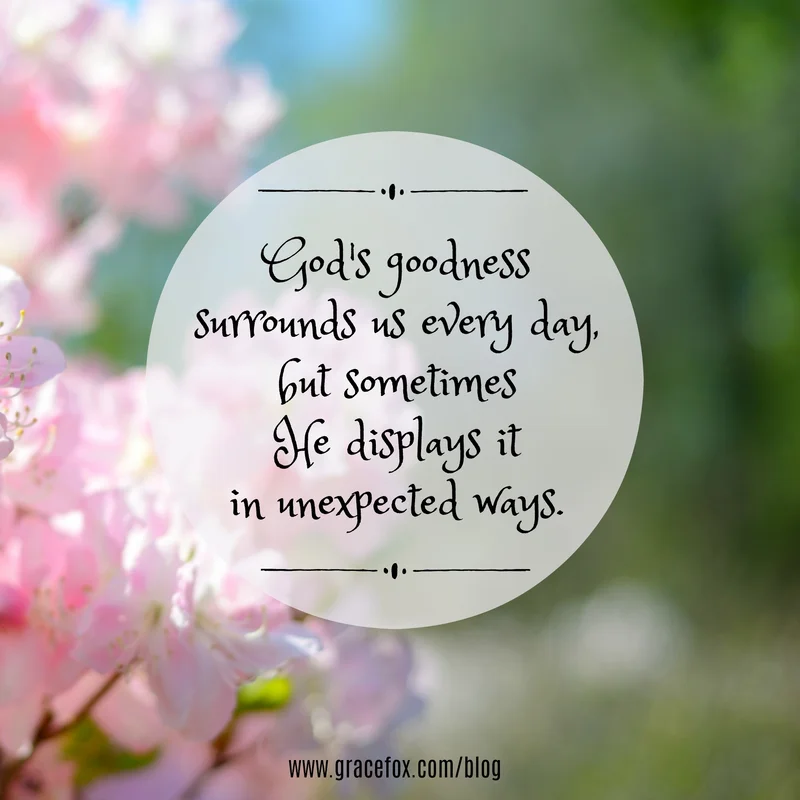 God’s Goodness and a Broken Water Main - Grace Fox
