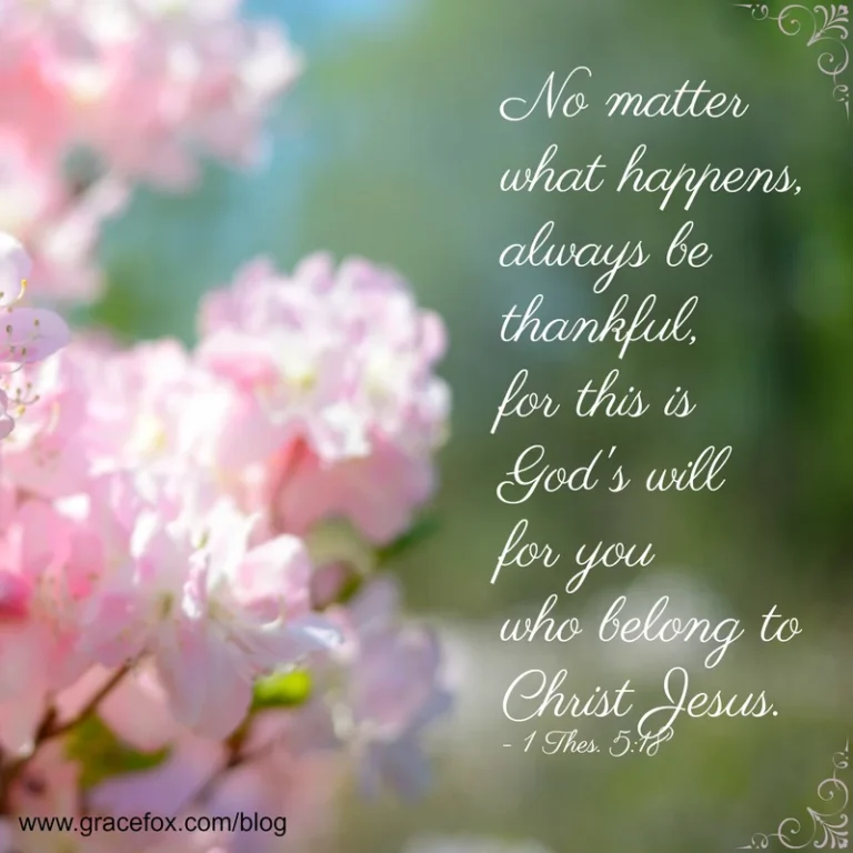 How to Respond Amidst Life's Little Annoyances - Grace Fox