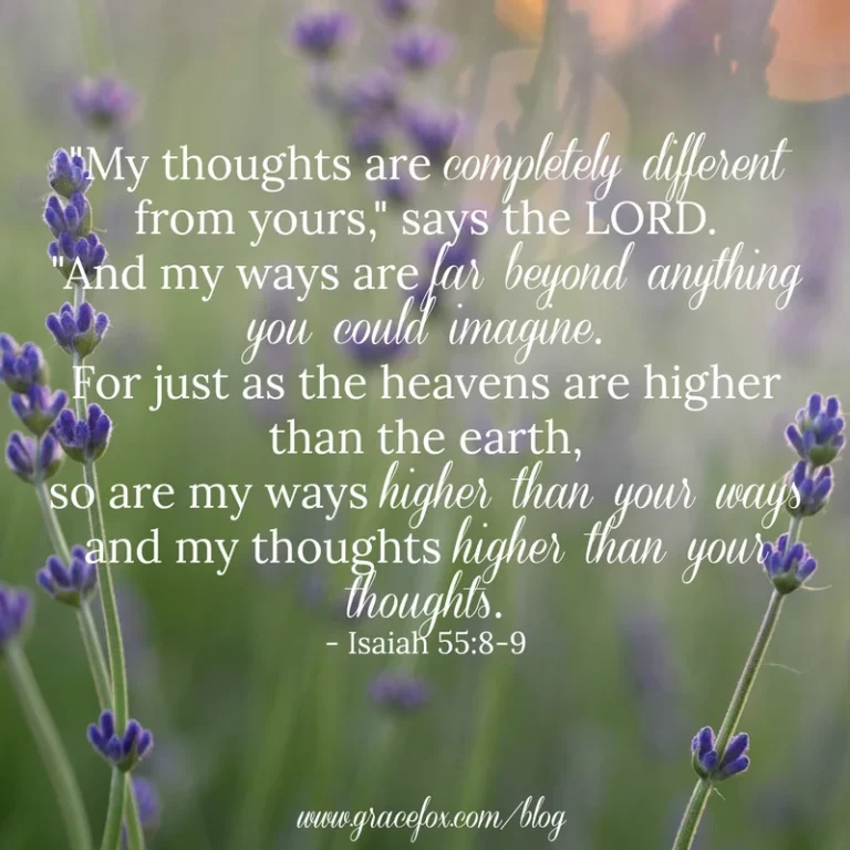 God’s Way, Not My Own - Grace Fox