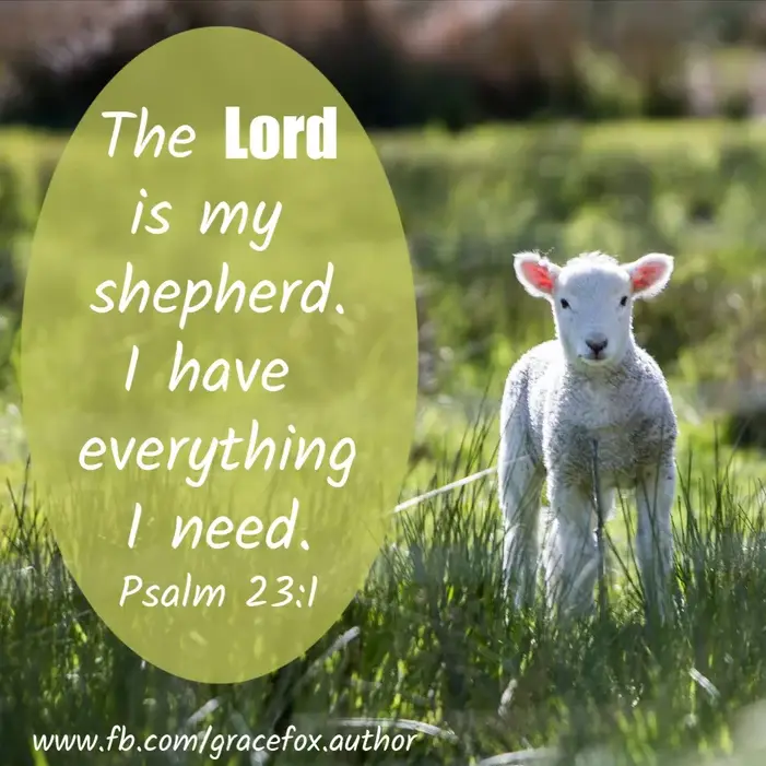 10 Gifts Our Shepherd Gives Us - Grace Fox