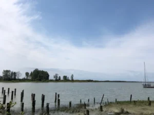 The pilings and our boat-home today