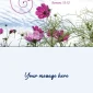 Finding Hope in Crisis Notecards - Grace Fox