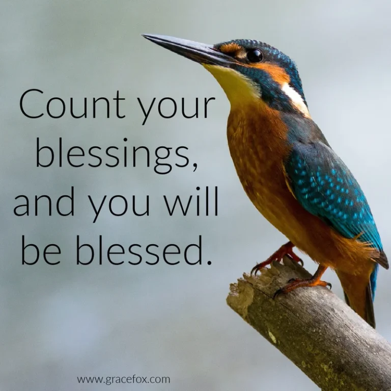 Count Your Blessing - Grace Fox